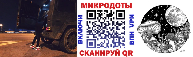 Псилоцибиновые грибы Psilocybe  Свободный 